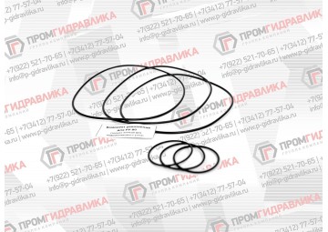 Комплект уплотнений ротатора FR21А (вал)