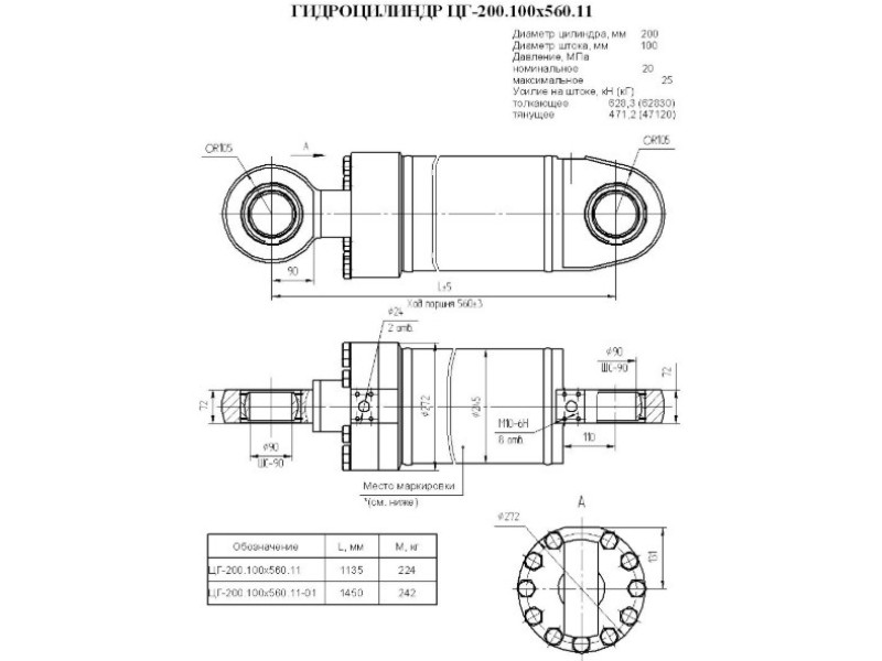 ЦГ-200.100х560.11