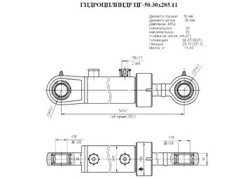 ЦГ-50.30х285.11