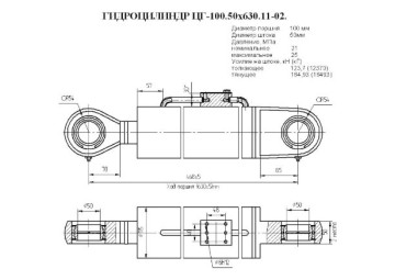 ЦГ-100.50х630.11-02