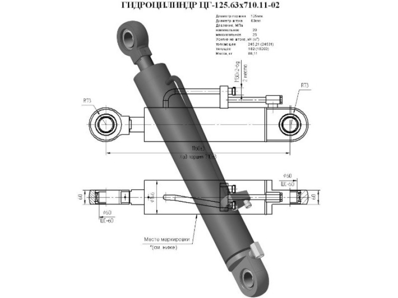ЦГ-125.63х710.11-02