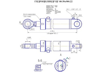 ЦГ-80.50х900.22