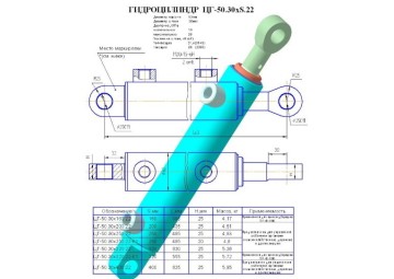ЦГ-50.30х320.22-01