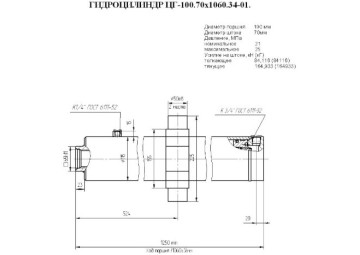 ЦГ-100.70х1060.34-01