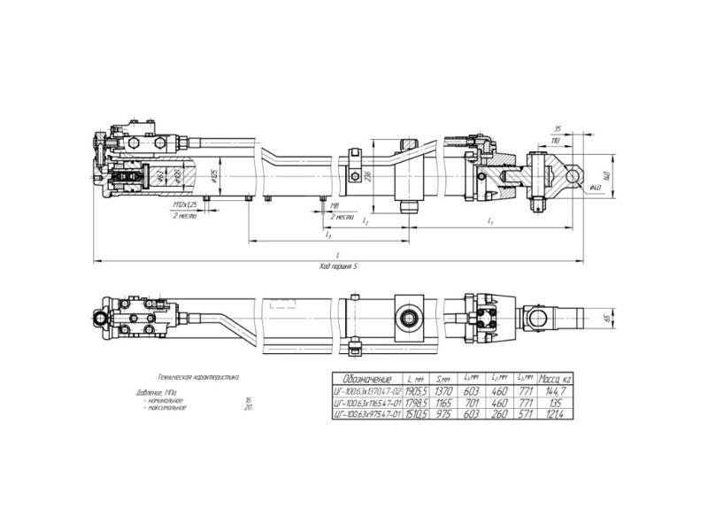 ЦГ-100.63х975.47-01