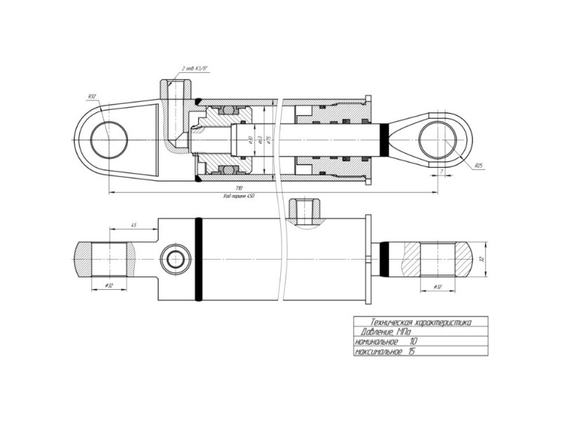 ЦГ-63.30х450.17