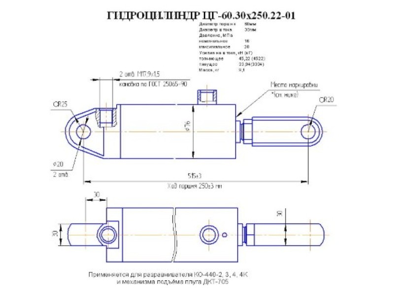 ЦГ-60.30х250.22-01