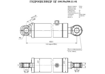 ЦГ-100.50х500.11-01
