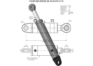 ЦГ-80.50х250.17-01