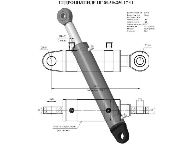 ЦГ-80.50х250.17-01