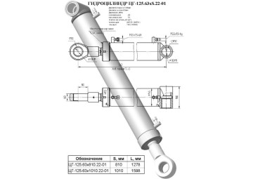 ЦГ-125.63х810.22-01