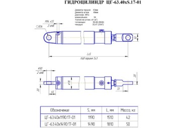 ЦГ-63.40х1190.17-01