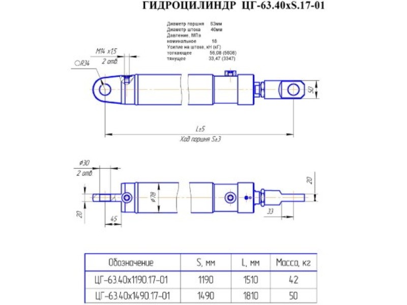 ЦГ-63.40х1190.17-01