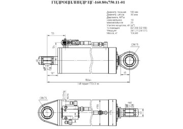 ЦГ-160.80х750.11-01
