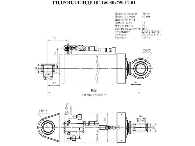 ЦГ-160.80х750.11-01