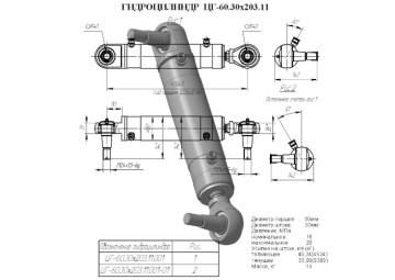 ЦГ-60.30х203.11.001